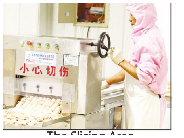 The slicing area - Vital Prime pet treats factory Qingdao